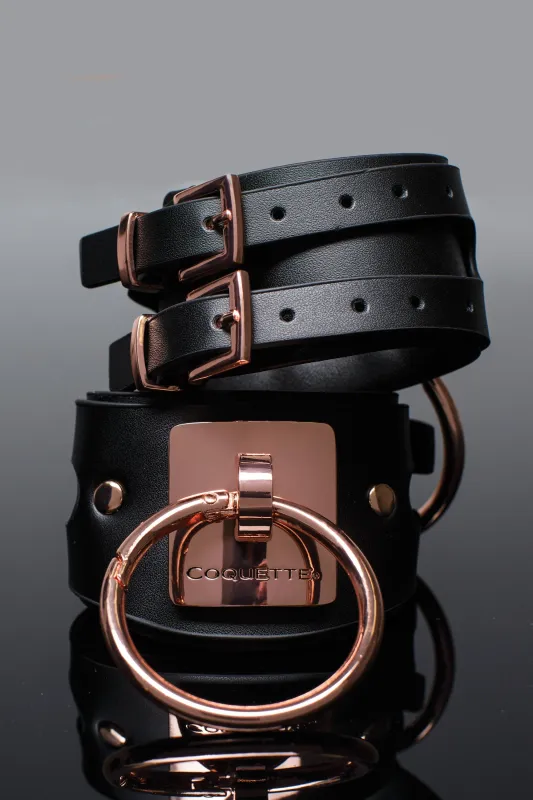 22526 Handcuffs
