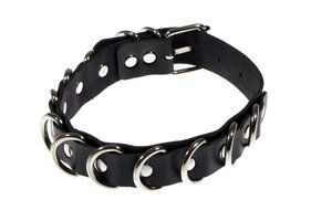 RS-301 D-Ring Collar Black