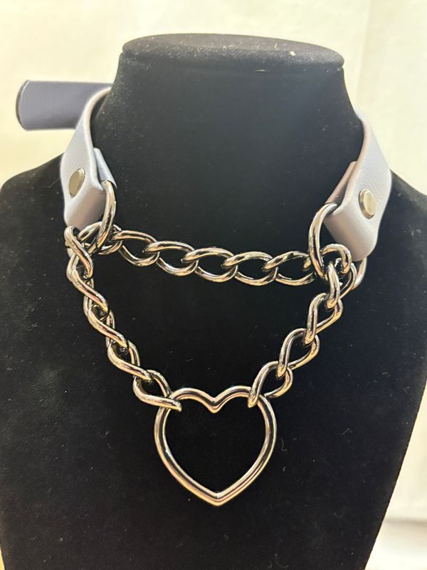 Biothane 3/4in Collar Grey/Pewter Heart