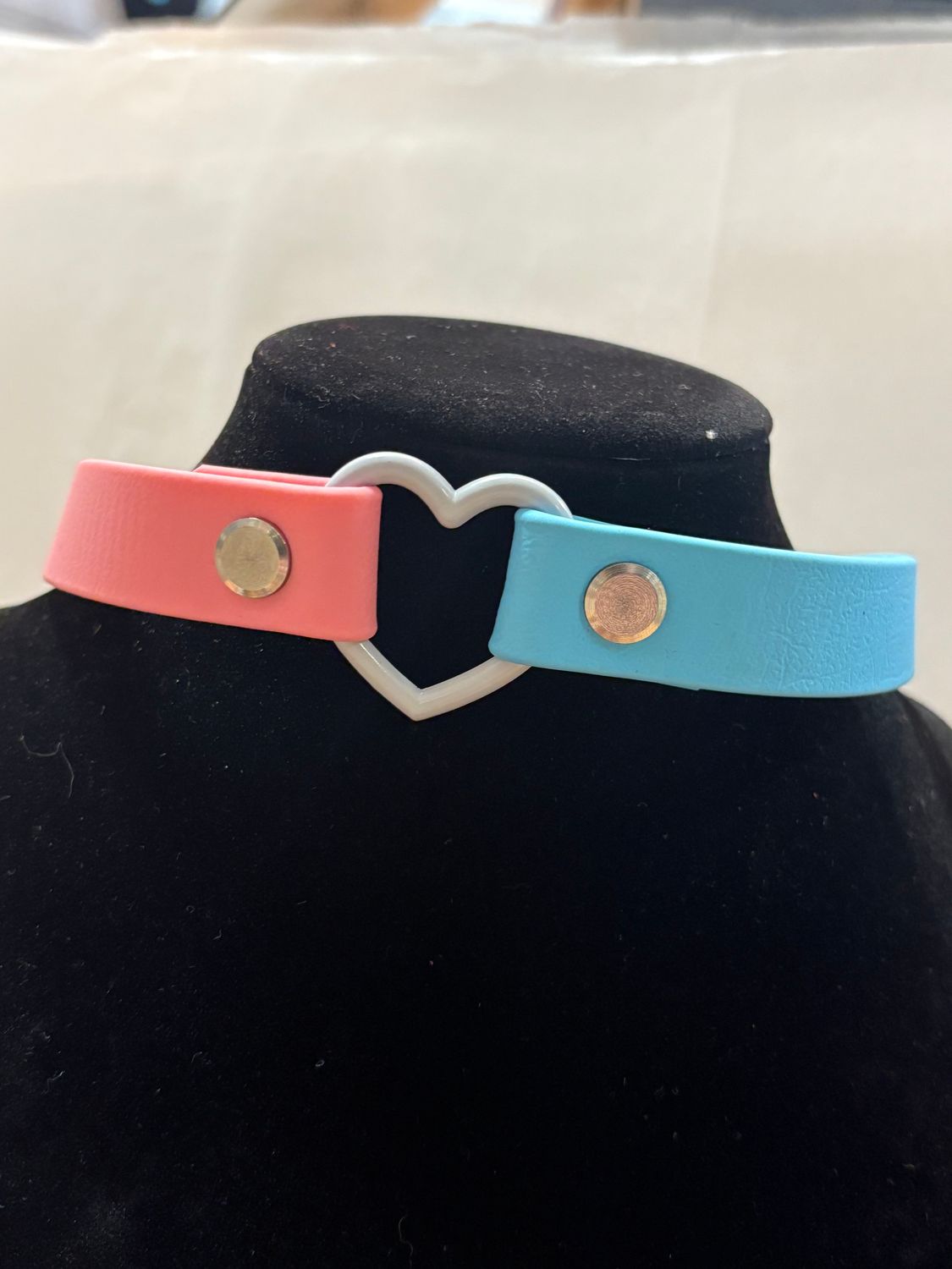 Biothane Pride Collar Transgender