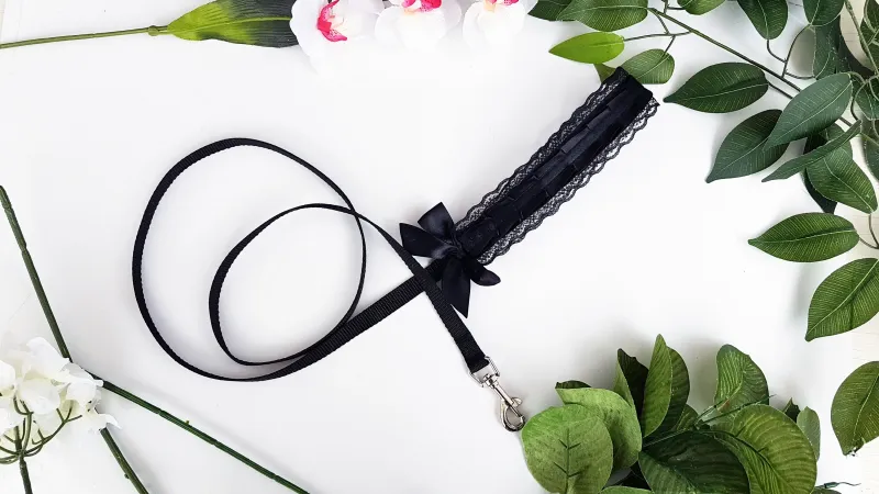 Kitty/Lace Leash