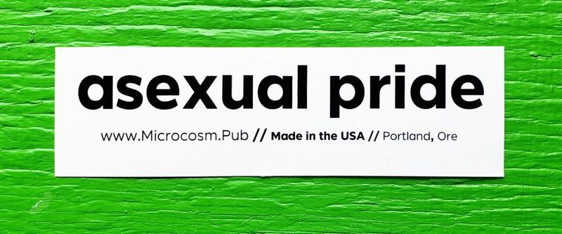 464 Asexual Pride Sticker