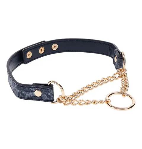 SP9749 Cougar Day Collar