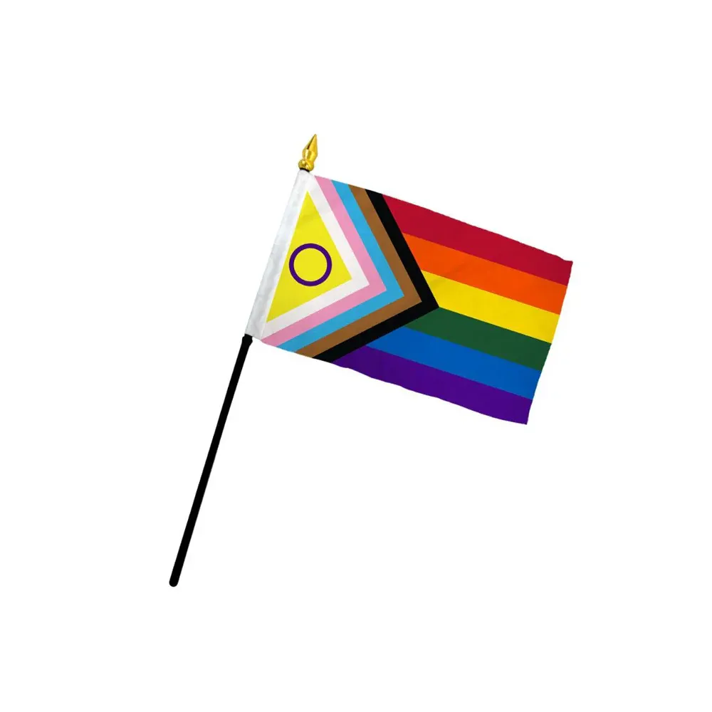 DFINCLUSIVE Inclusive Pride 4&quot;x6&quot; Stick Flag