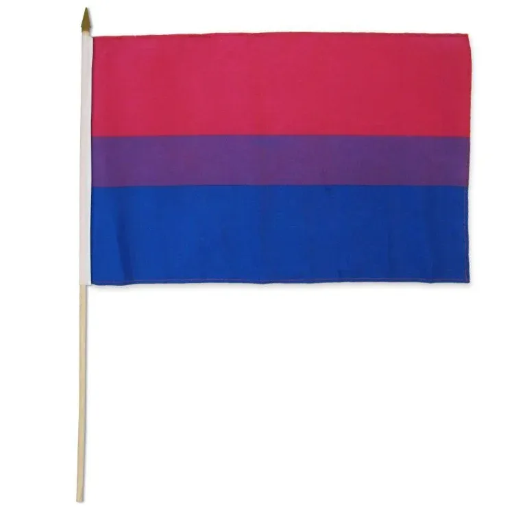 STIBI Bisexual 12&quot;x18&quot; Stick Flag