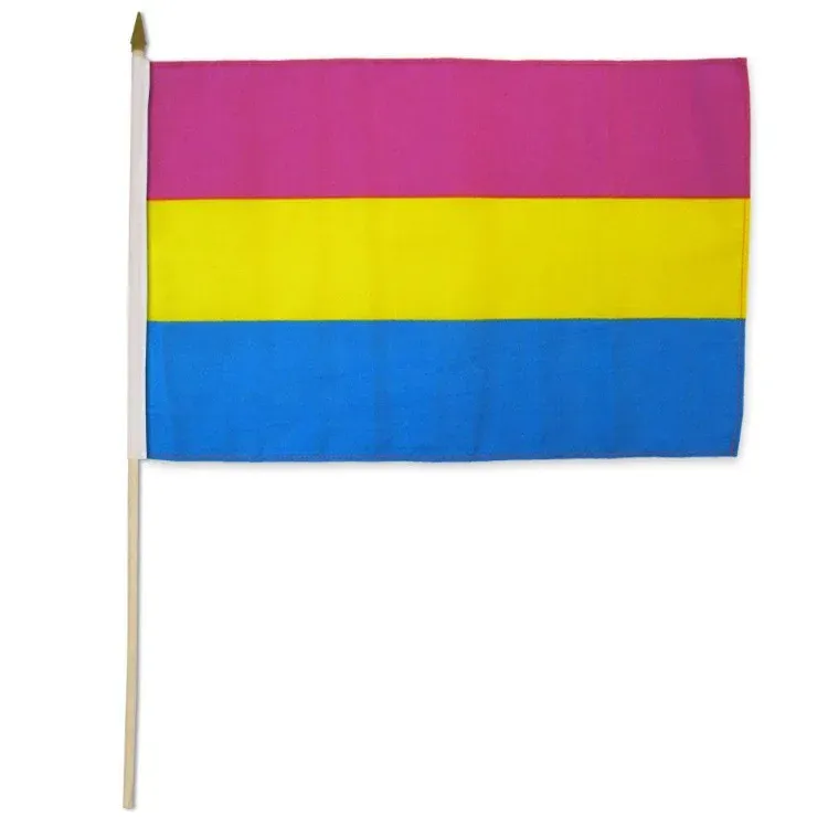 STIPAN Pansexual 12&quot;x18&quot; Stick Flag