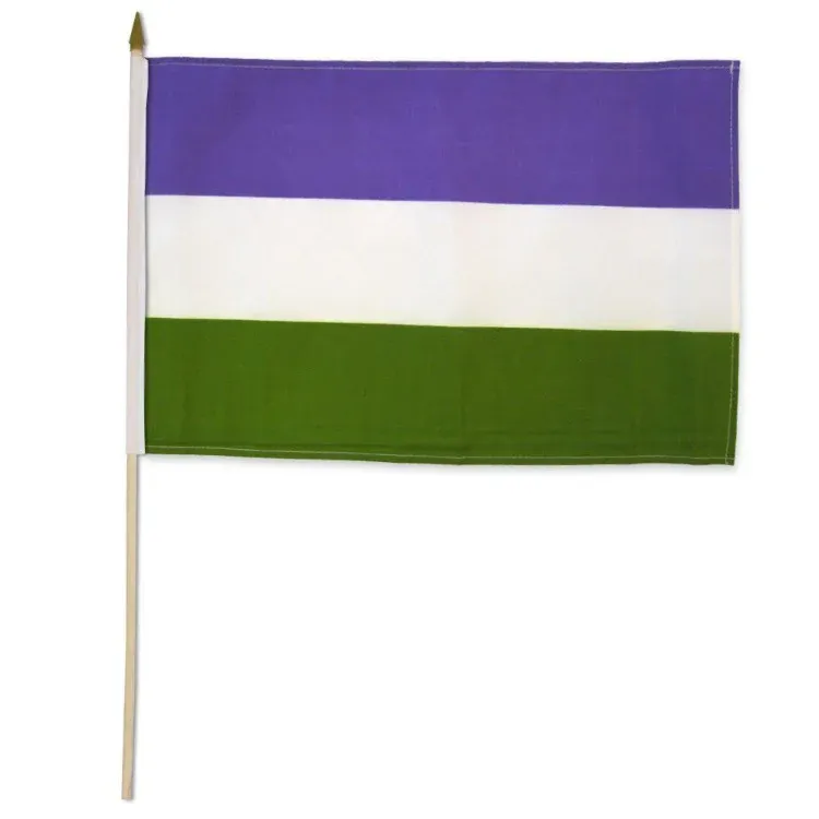 STIGQ Gender Queer 12&quot;x18&quot; Flag