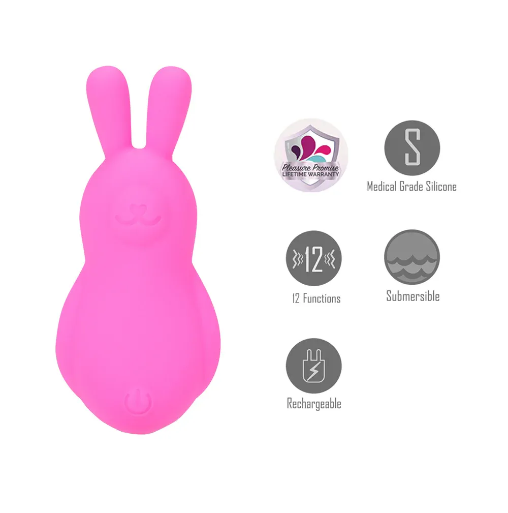 BO-25-05 Bri 12 Function Bunny