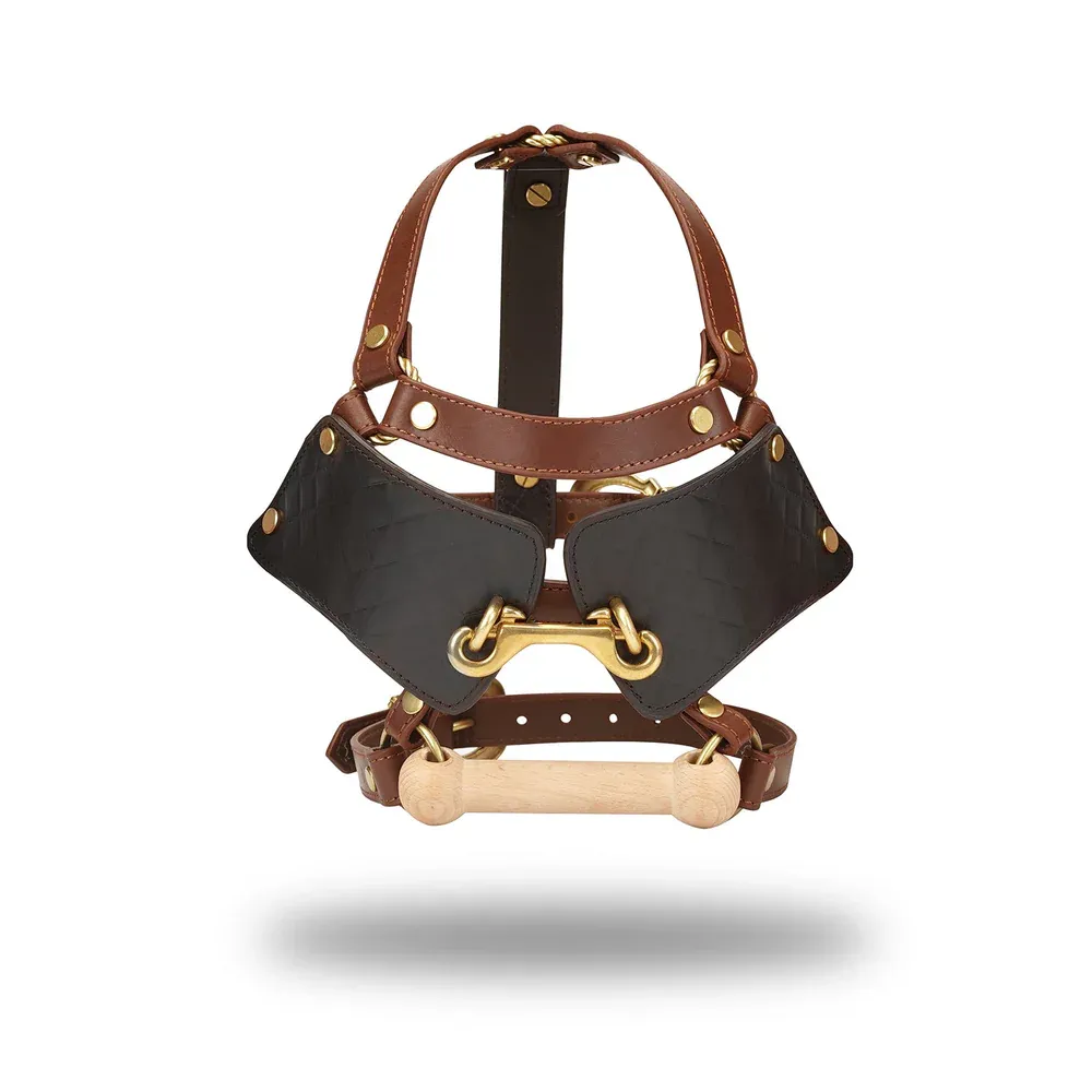 SPLS1106 Equestrian Blinder/ Gag