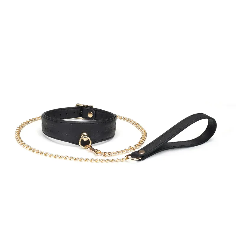 CL-80357BK Demon&#39;s Kiss Curved Collar Small