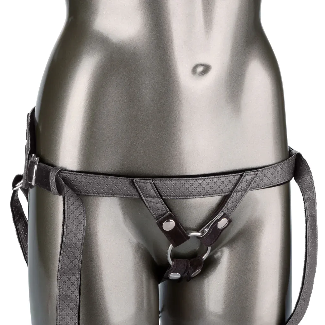 SE1563373 Regal Princess Pewter Harness