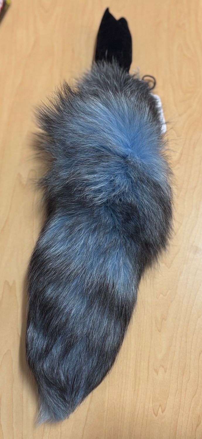 PL-DIT-155 14-17&quot; Fox Tail Pale Blue Steel Medium