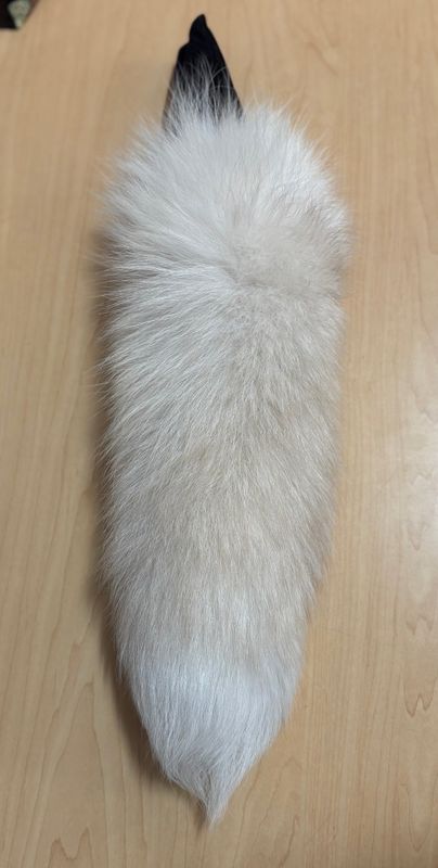 PL-NFT-606 14-17&quot; Fox Tail Steel Med Ivory