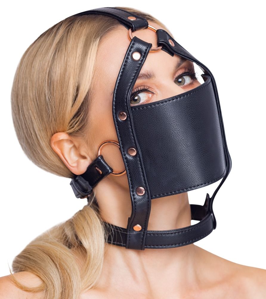 24933731001 Harness W/ Gag Black