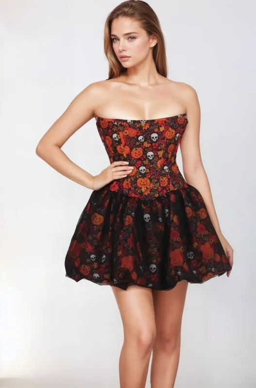 HL111-001 Zane Corset Dress