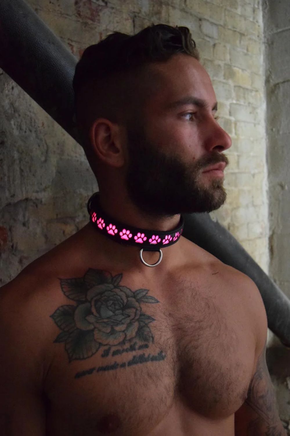 BW01826 Glow Pup Collar