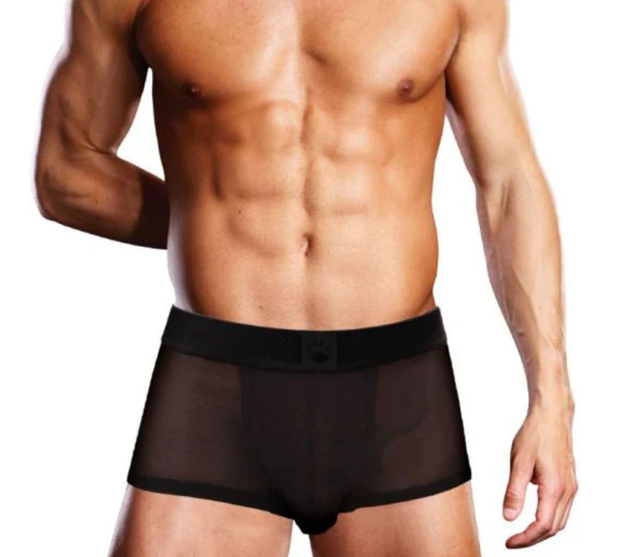 PR001 Mesh Trunk