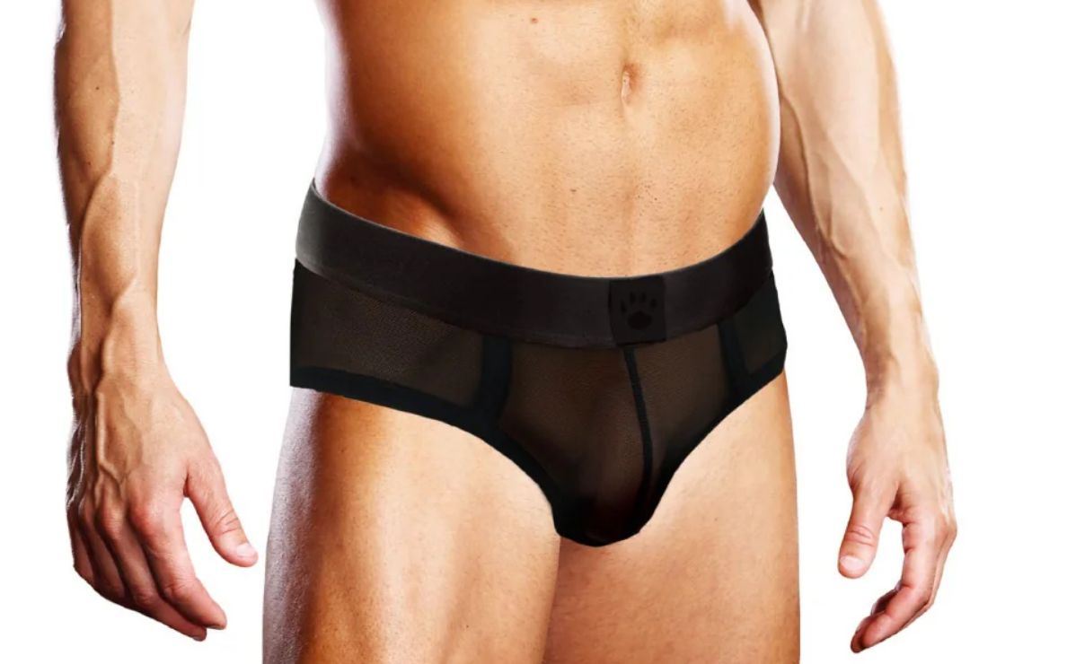 PR003 Mesh Brief