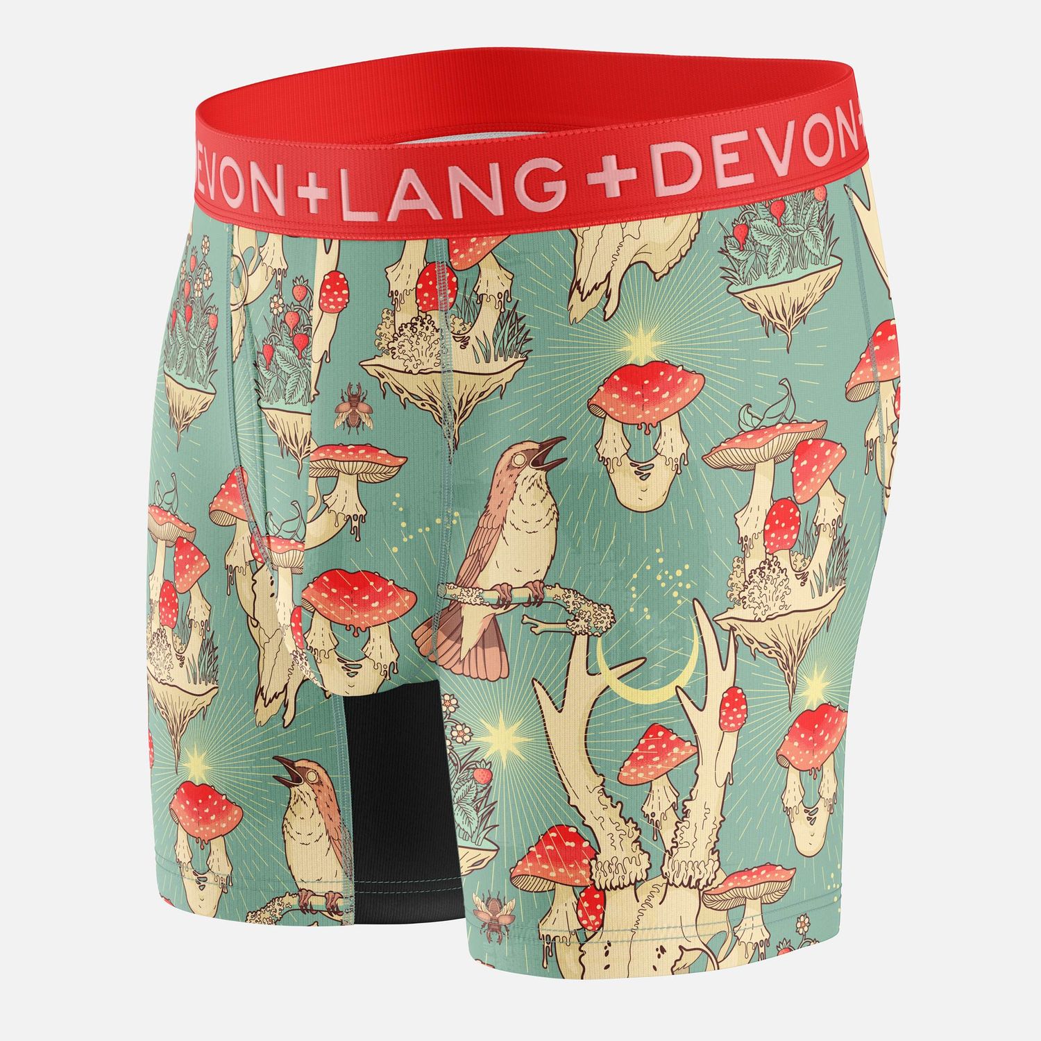 M002 Journey Forest Mushrooms