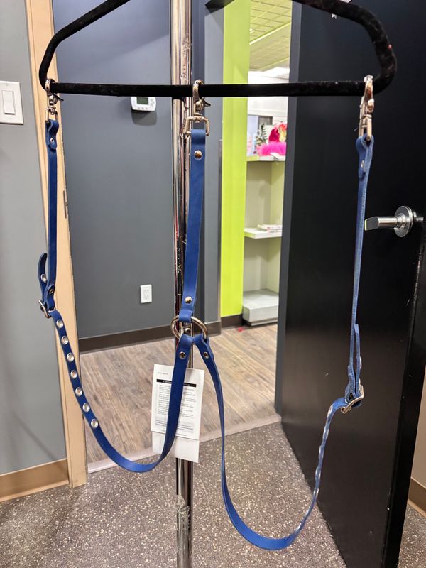 AC-126 Suspenders Royal