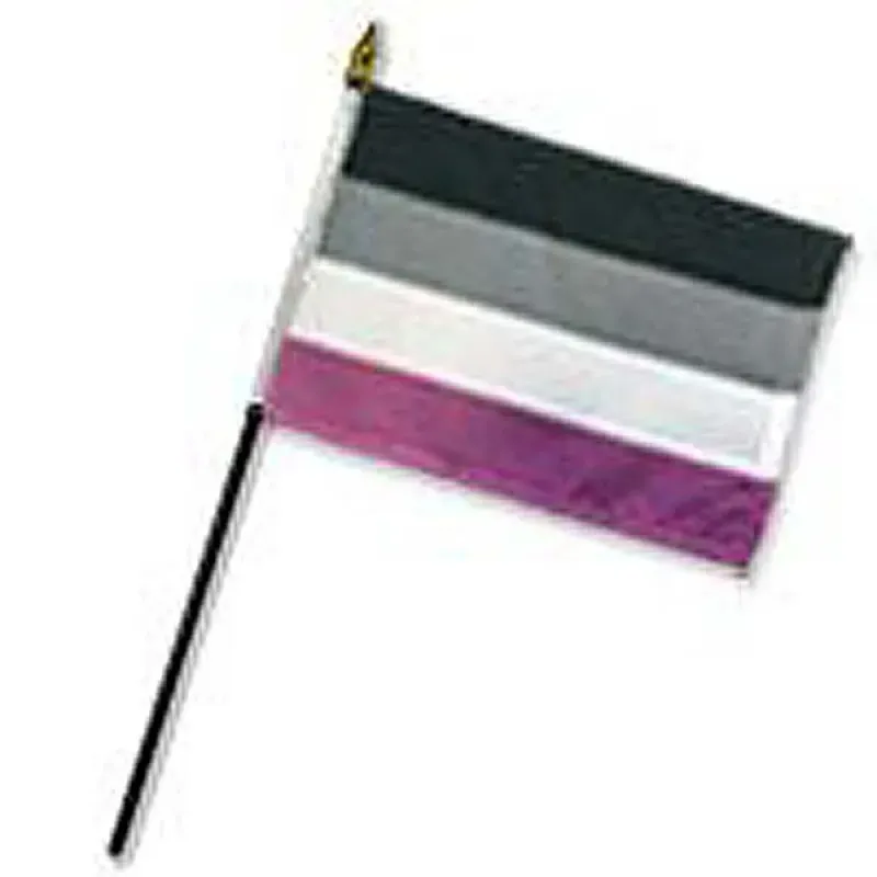 DFAS Asexual Stick Flag 4"x6"