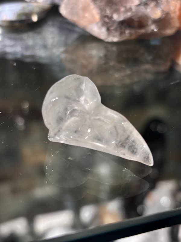 Clear Quartz Corvid Skull