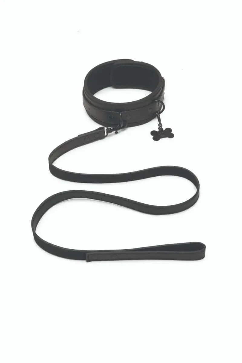 PR-F-031 Collar/Leash Set
