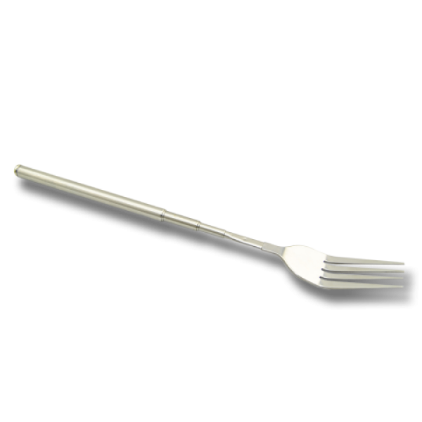 Extendable Fork