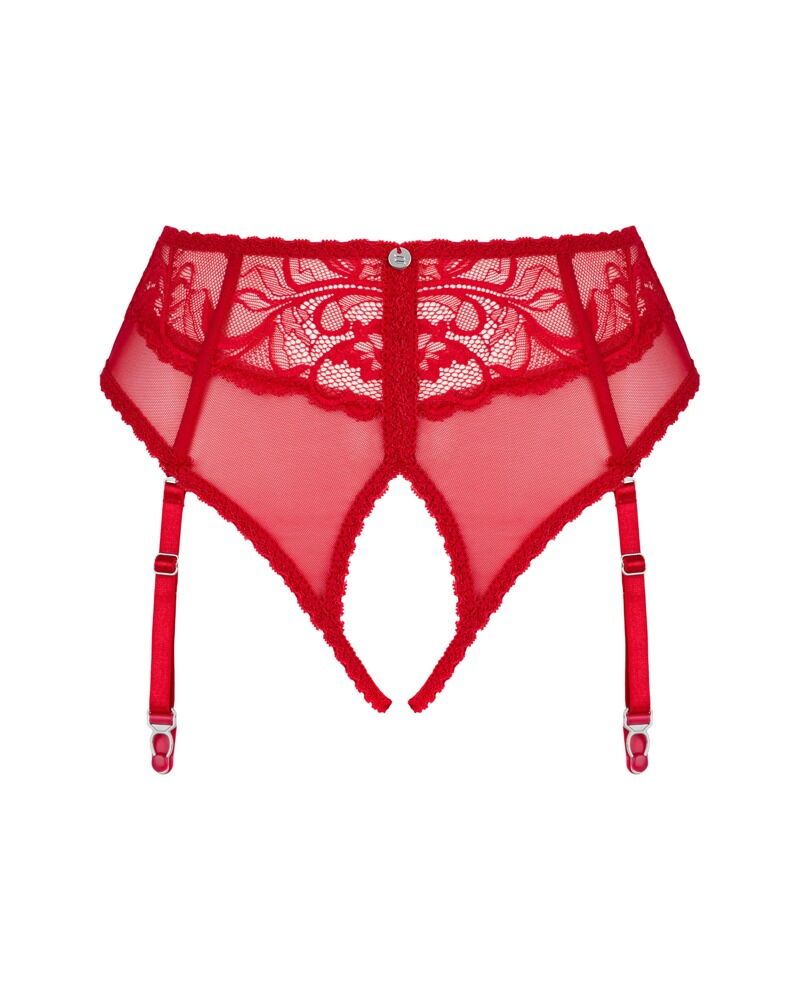 2311135 Dagmire Garter Panty