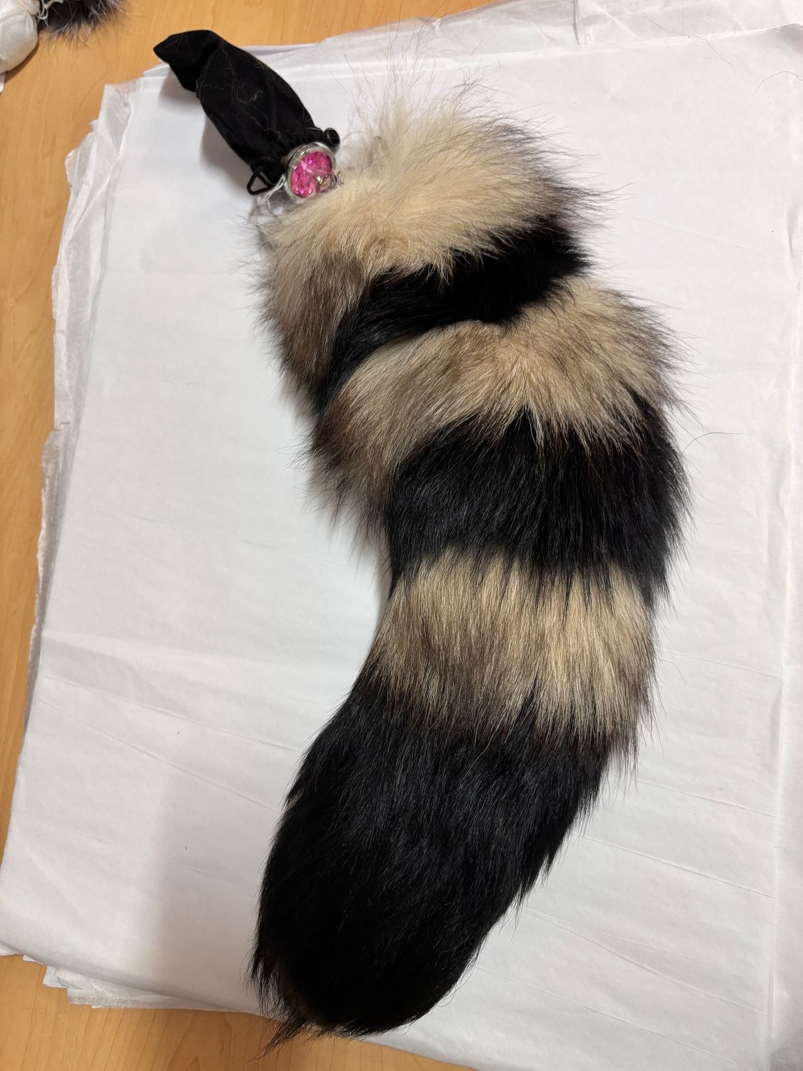 Fox Tail with Butt Plug Crystal Fox Striped Lobster Claw Medium