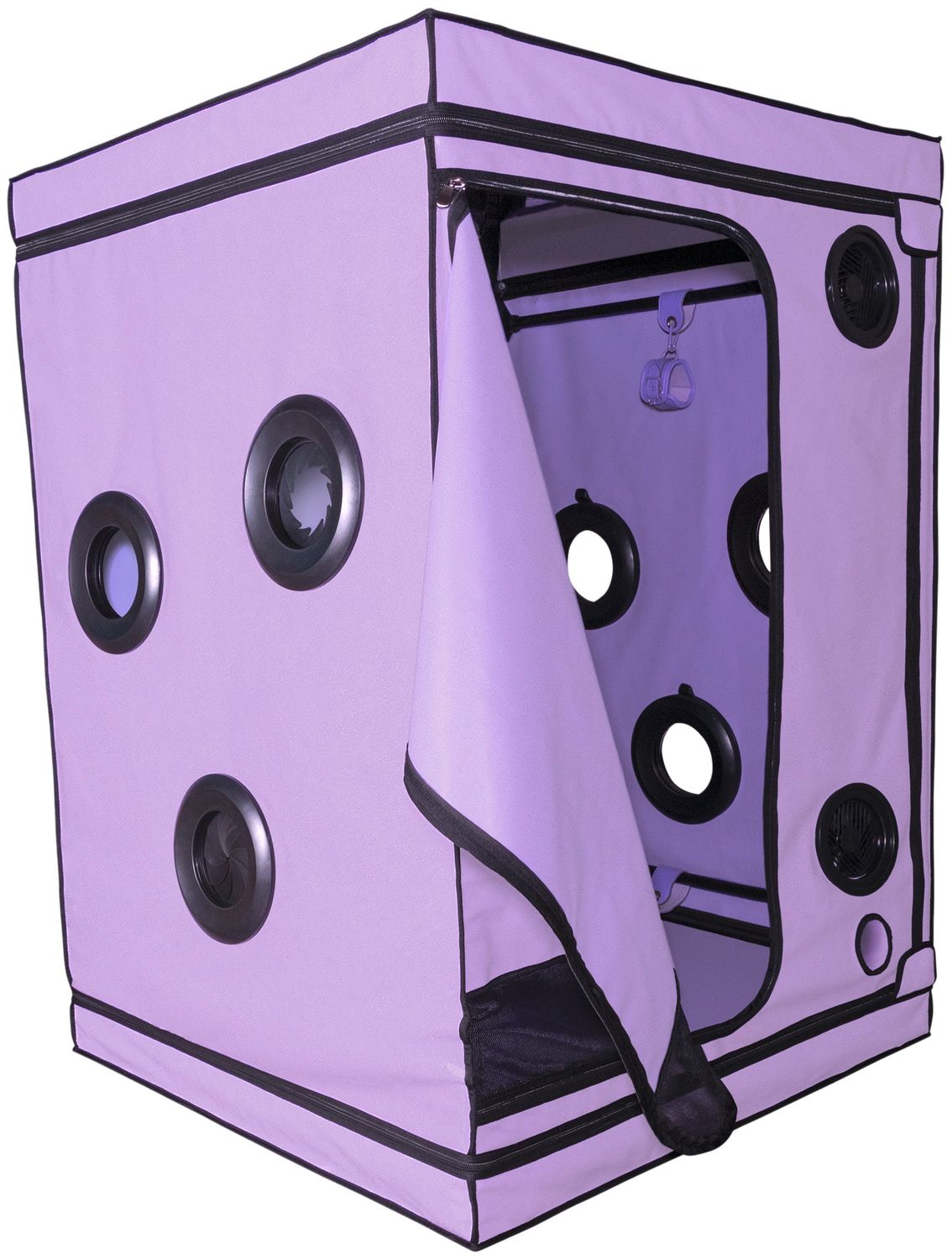 500599 Scandale Cube