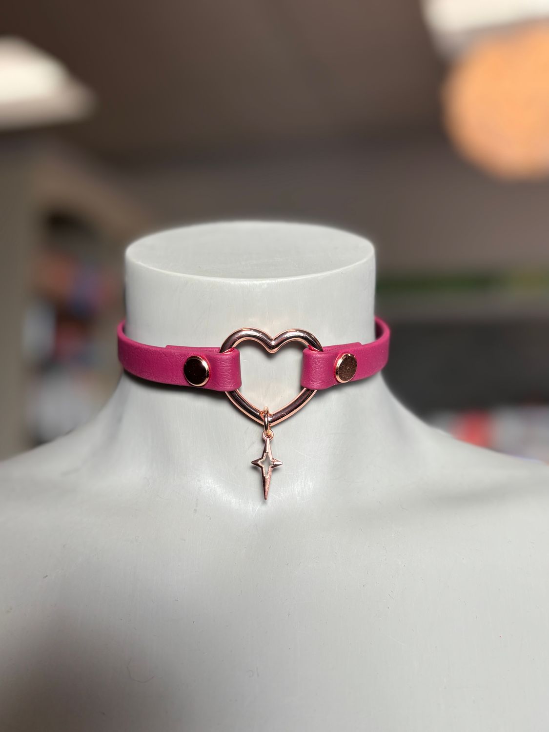 Biothane Collar Burgundy Heart
