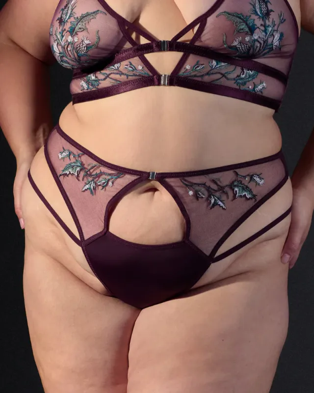 321606 Cirsi Thong