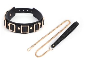 SM-YL-CA036 Multi-Buckle Collar/Leash