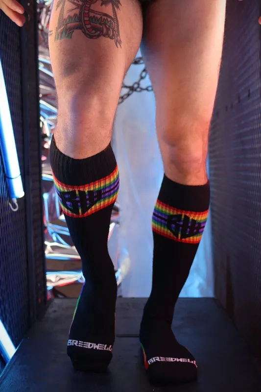 2605 Icon Pride Socks