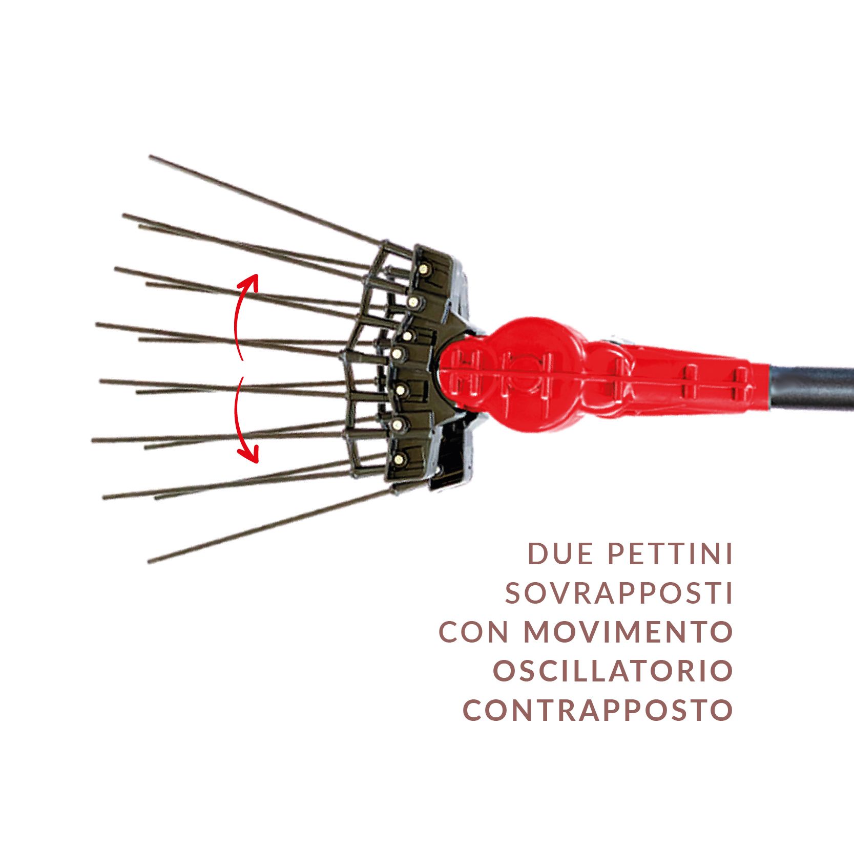 ABBACCHIATORE ELETTRICO AIMA CARBONIO TANDEM PREMIUM 36-43V