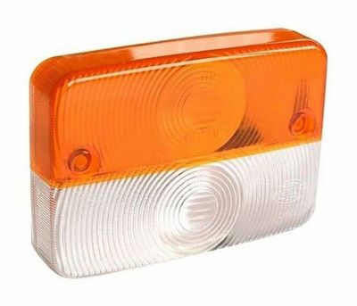 RICAMBIO FANALE ANTERIORE-AMA RICAMBIO FANALE ANTERIORE-AMA