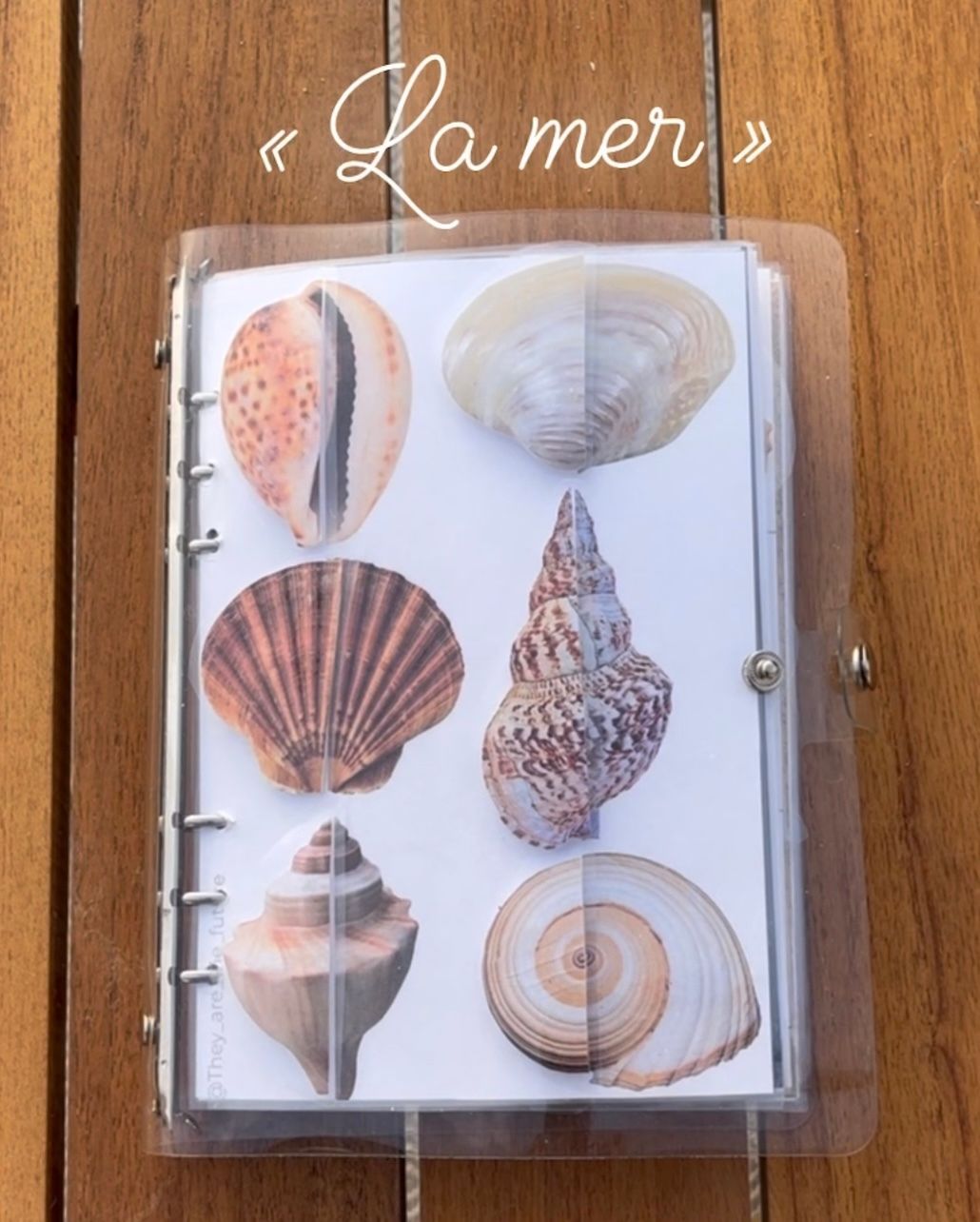 Summer Quiet Book