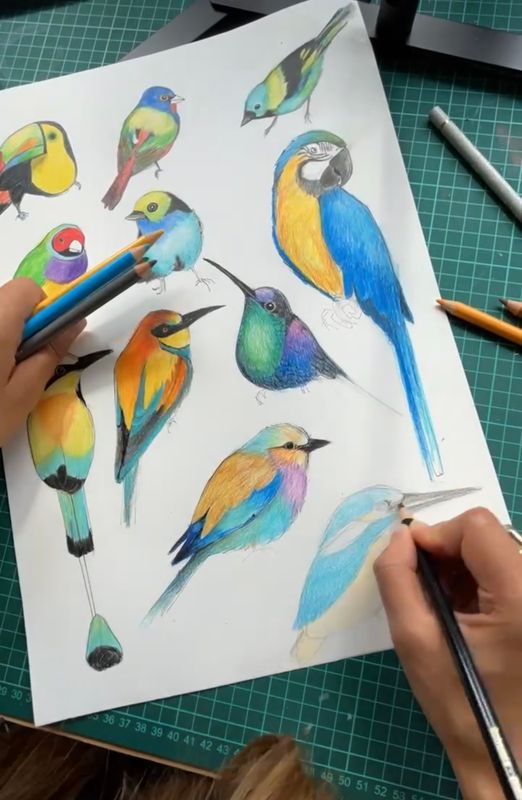 ​Drawing