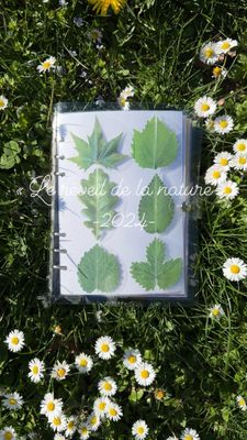 Quiet book de printemps - 2024-
