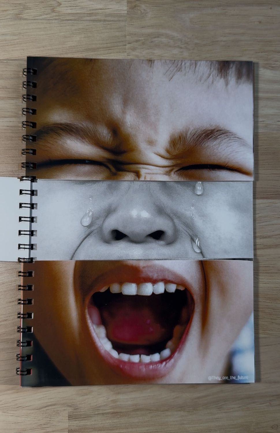 Emotion Flip Book - From 1 year old