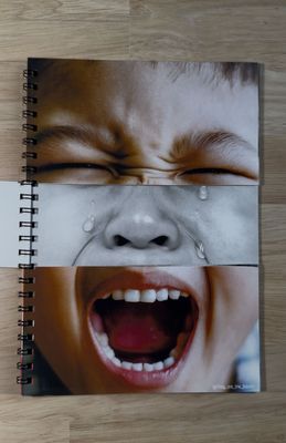 Flip book des émotions - Dès 1 an