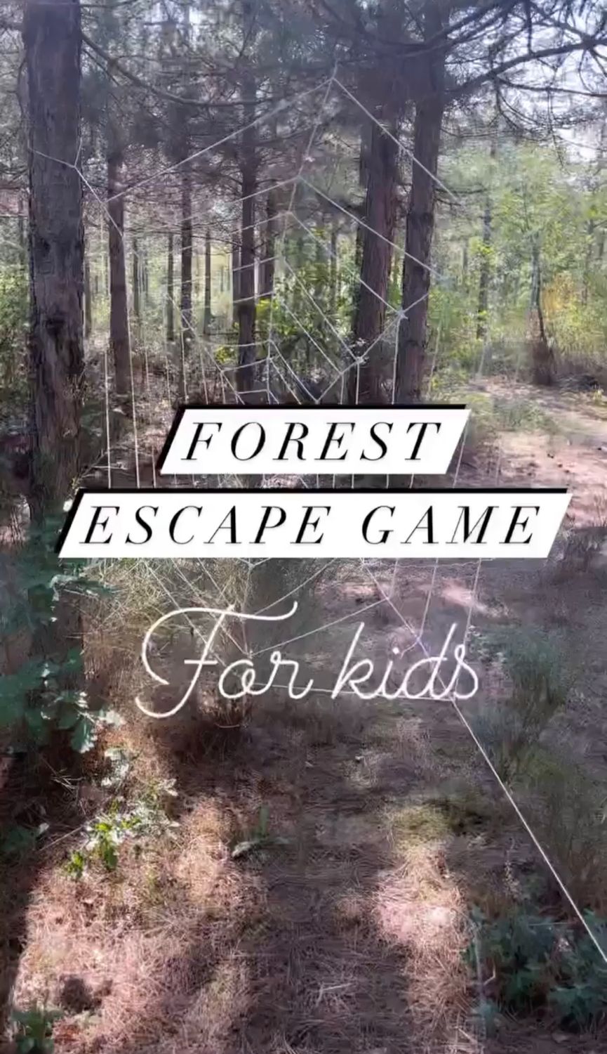 Forest escape game