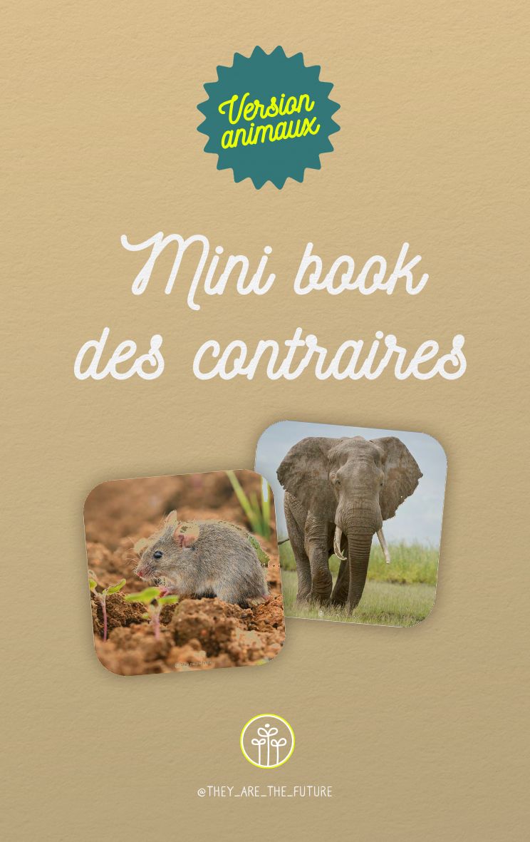 Mini book des contraires + puzzle