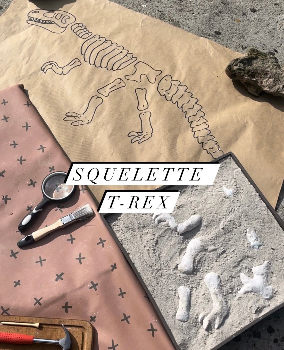 ​Patrón del esqueleto del T-Rex