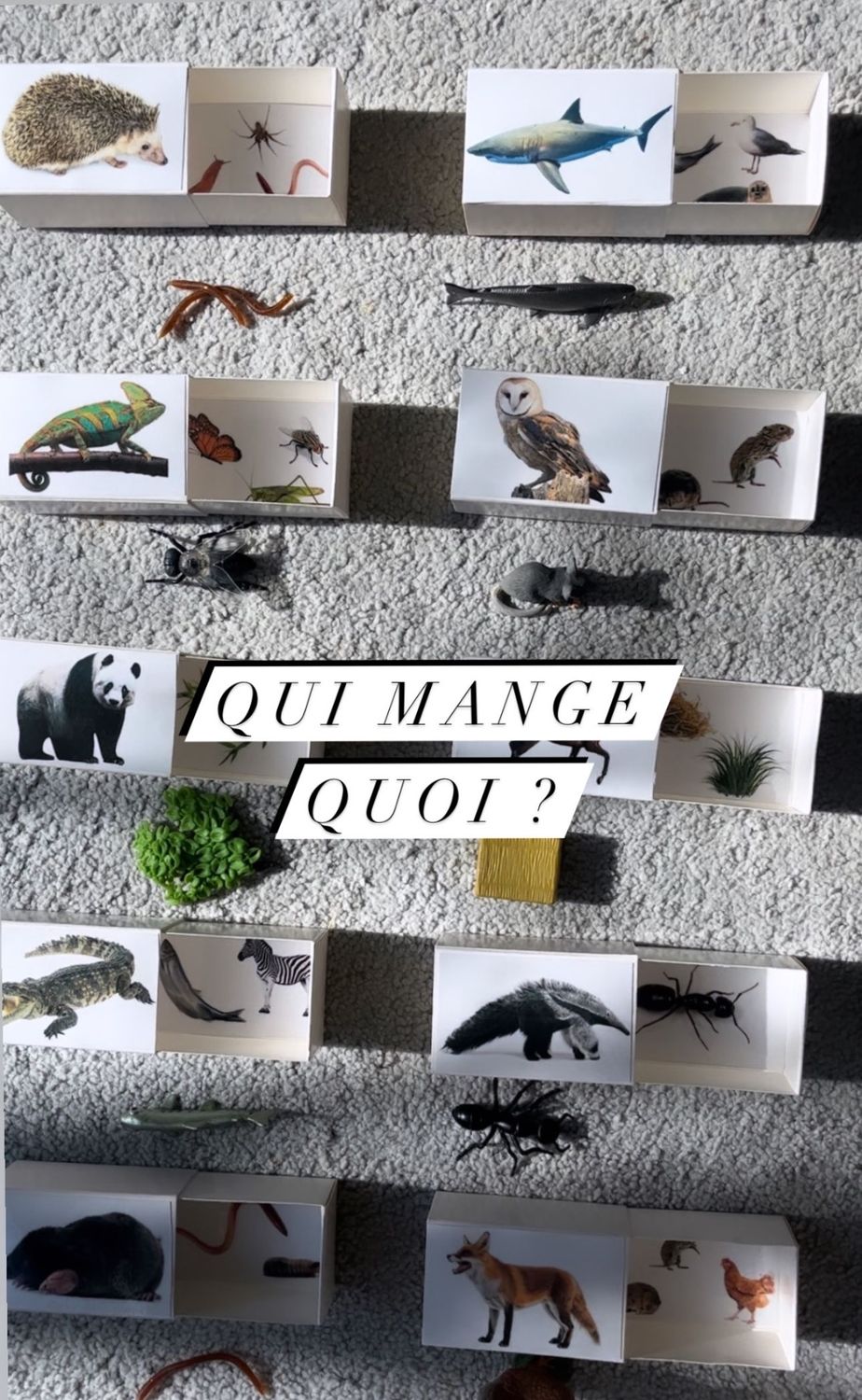 Versión en español – ¿Quién come qué? – Un juego desde los 2 años