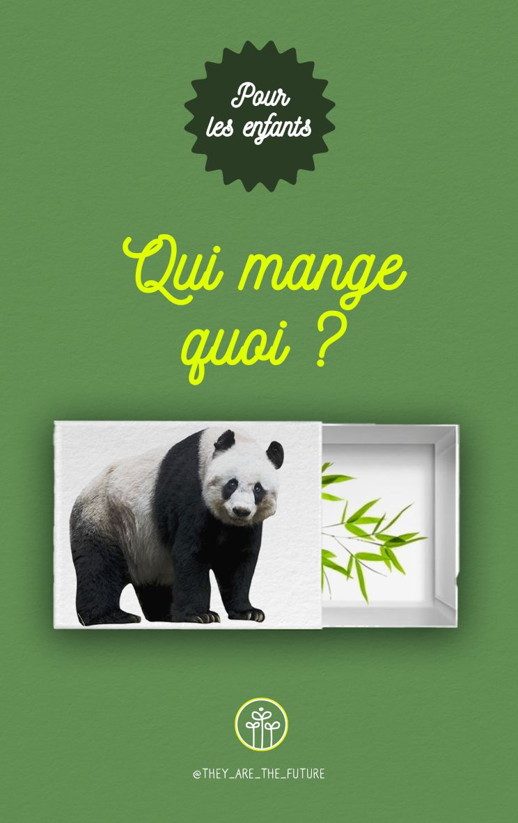 English Version – Who Eats What? – A game from 2 years old