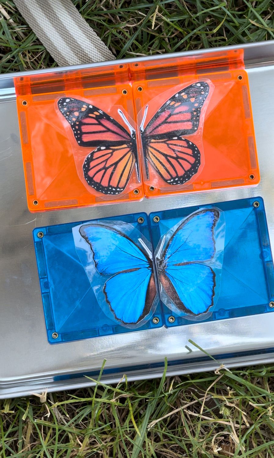 ​Rompecabezas de mariposas