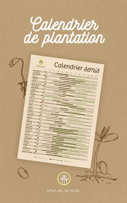 Calendrier de plantation