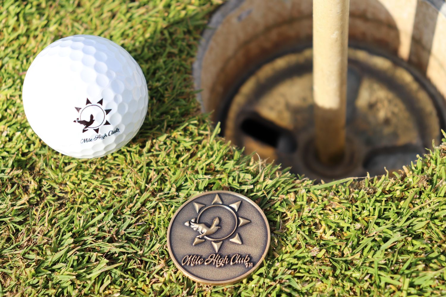 Challenge Coin/High Quality Ball Marker